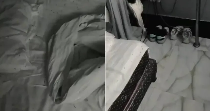 江西一名男子入住旅館，睡到半夜被癢醒，結果發現滿屋都是蟲。（圖／CTWANT）