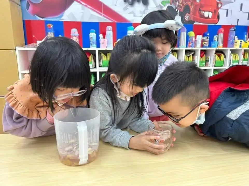 孩童在幼兒園內體驗的教學內容,並從中學習知識。(圖/聖奇幼兒園提供)