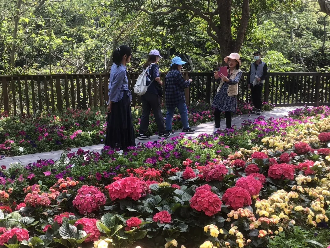 民眾賞花。（圖／新竹市政府提供）