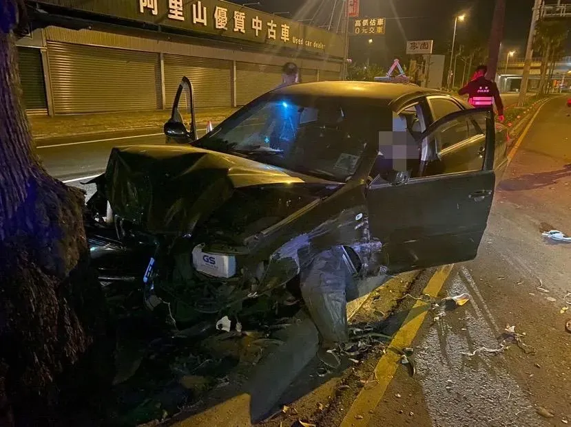 駕駛撞上路樹送醫不治。(圖/翻攝畫面)