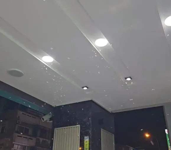 鄭明典分享騎樓大水蟻狂飛的影片。(圖/翻攝自鄭明典臉書)