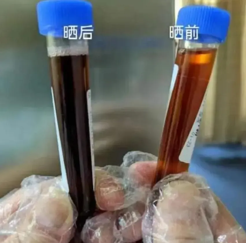 小滕尿液經太陽曝曬後變成醬油色。（圖／翻攝新聞坊）