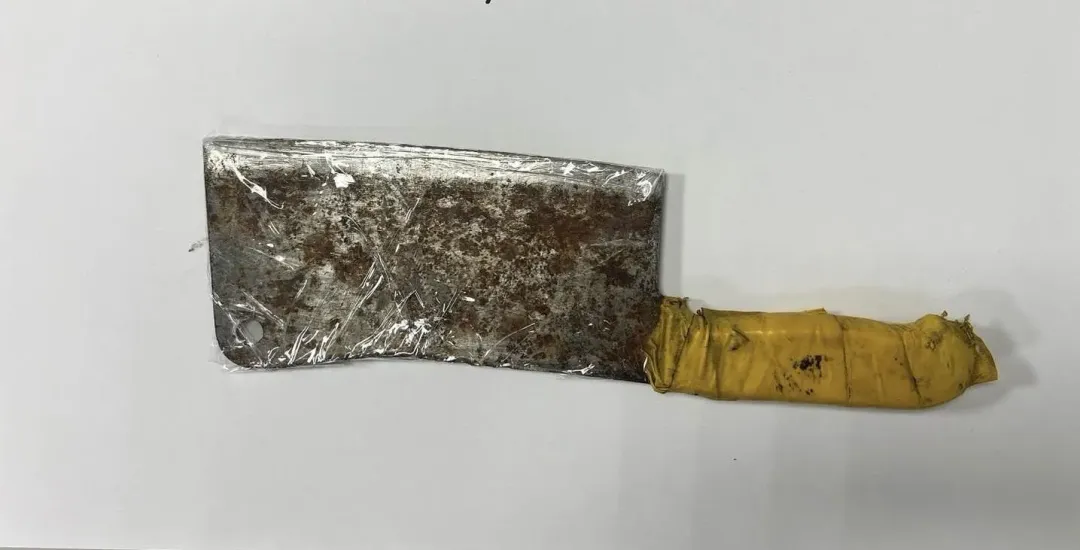 連男所持菜刀。（圖／翻攝畫面）