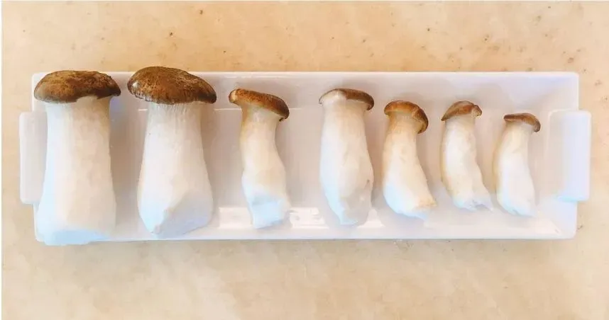杏鮑菇有豐富蛋白質,有助身體修復,是素食者的好選擇。(示意圖/photoAC)
