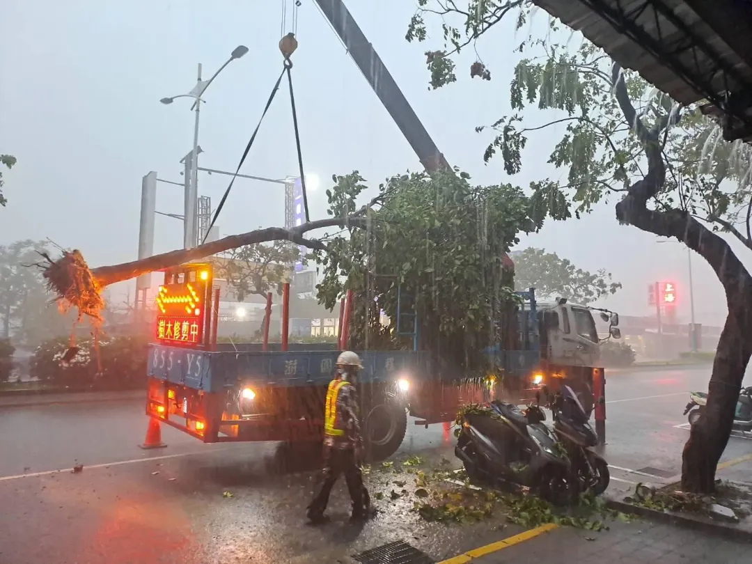 工人冒雨排除樹倒的路障。（圖／翻攝畫面）