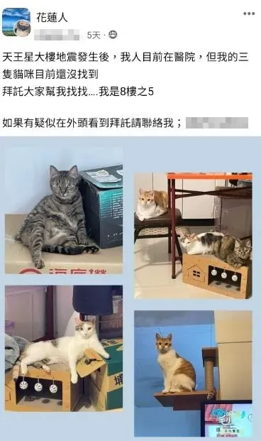 八樓的余小姐由於受傷送醫,躺臥於醫院中,但是她相當擔憂家中的貓(橘子),於是在臉書社「花蓮人」發文。(圖/翻攝自花蓮人)
