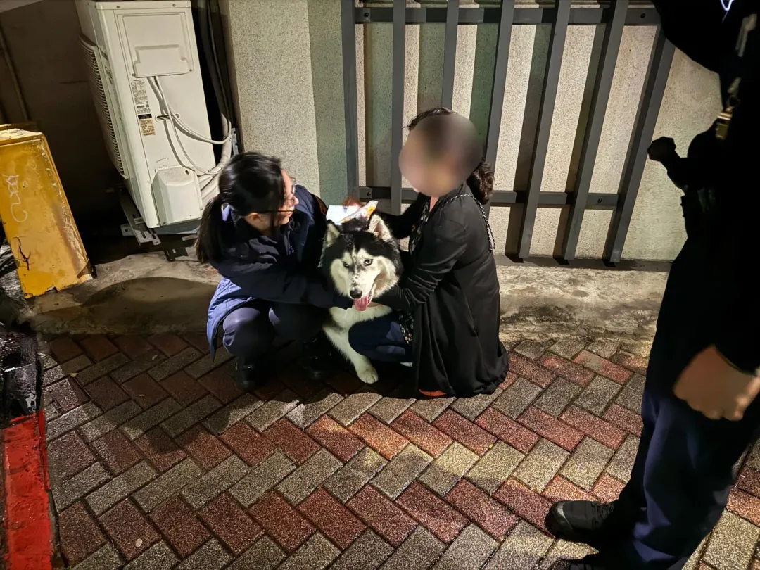 飼主和員警找到跑丟的奇奇，給予安撫。（圖／翻攝畫面）