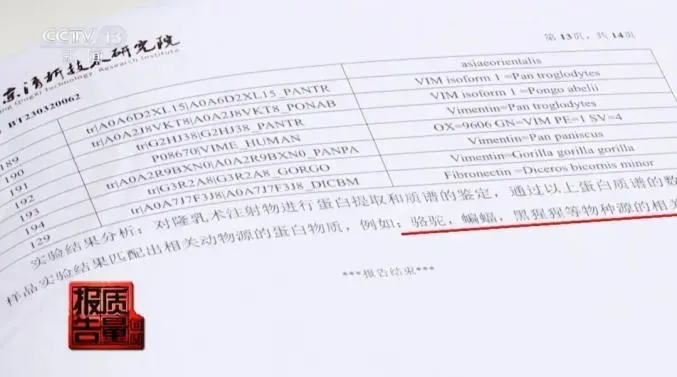 開刀取出黃色油膏注射物後化驗，赫然發現「駱駝蝙蝠」蛋白。（圖／翻攝央視新聞）
