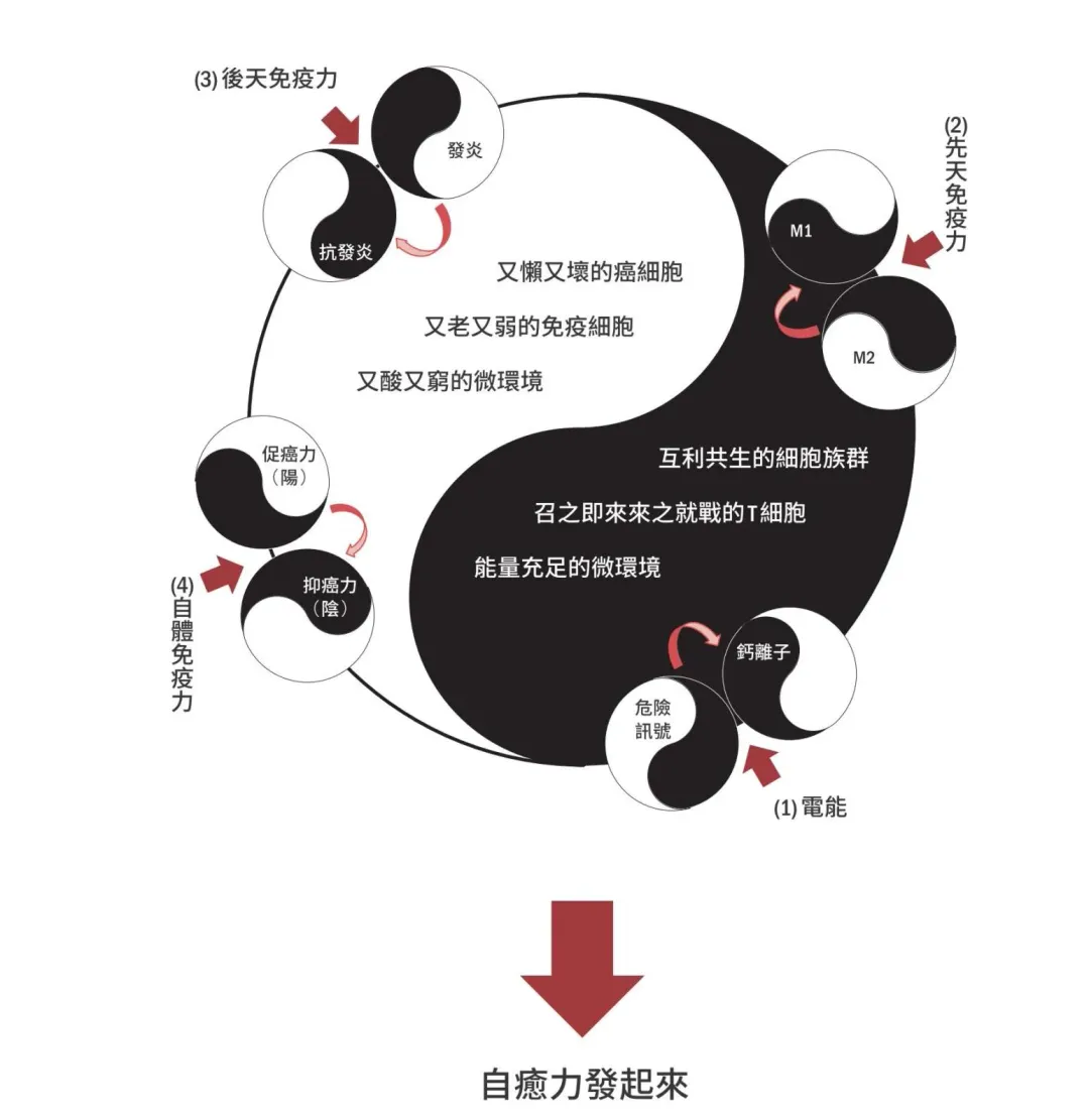 名醫季匡華曝光「發炎」是會得癌症的關鍵原因,破解癌症12個迷思救世。(圖/時報出版提供)