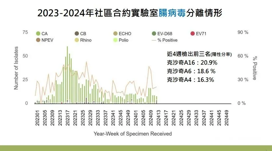 近期實驗室監測顯示腸病毒持續於社區中活動,檢出以克沙奇A型為主。(圖/疾管署,下同)