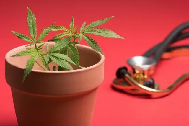 長期使用大麻恐會導致出現憂鬱、躁鬱或思覺失調症等精神疾病。（示意圖／photoAC）