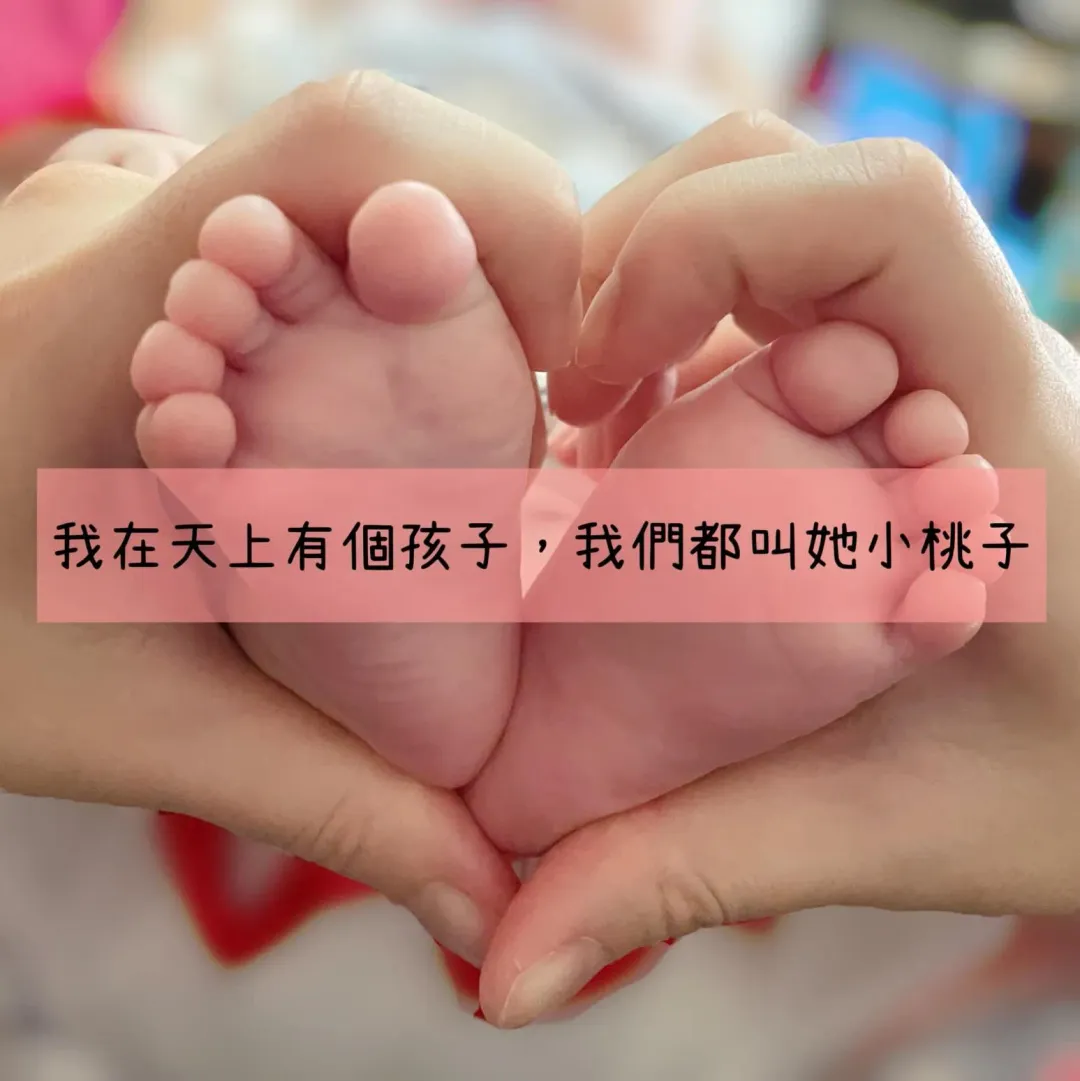 保母遭控虐死小桃子判刑9年。(圖/翻攝臉書)