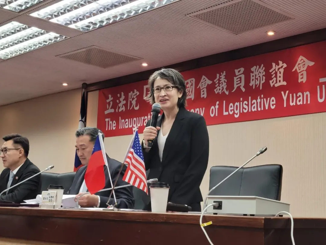 準副總統蕭美琴資料照。（圖／翻攝蕭美琴臉書）