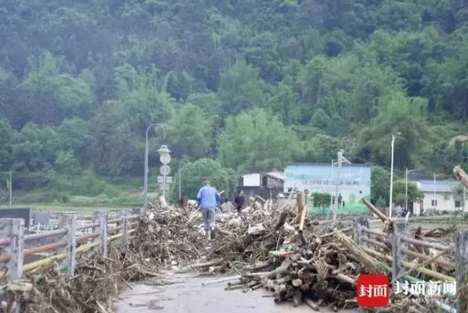 橋上堆滿大量漂流木(圖/翻攝微博)