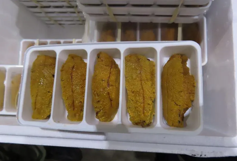 海膽含有礦物質鋅，可保持男女生殖系統的健康可提高性致！
