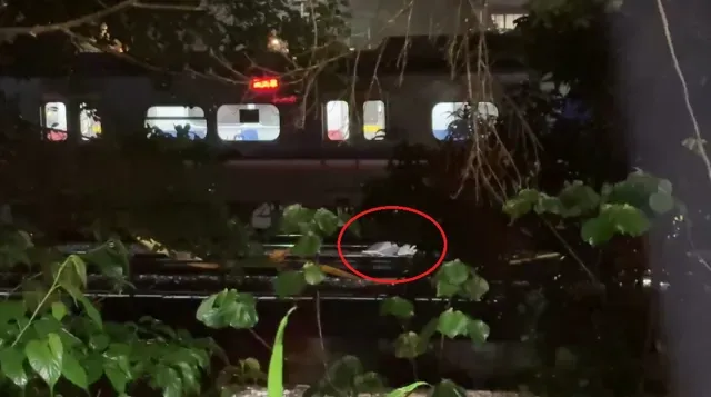 簡男某於駕車撞入派出所後棄車逃逸遭火車撞亡。（資料圖／中天新聞）