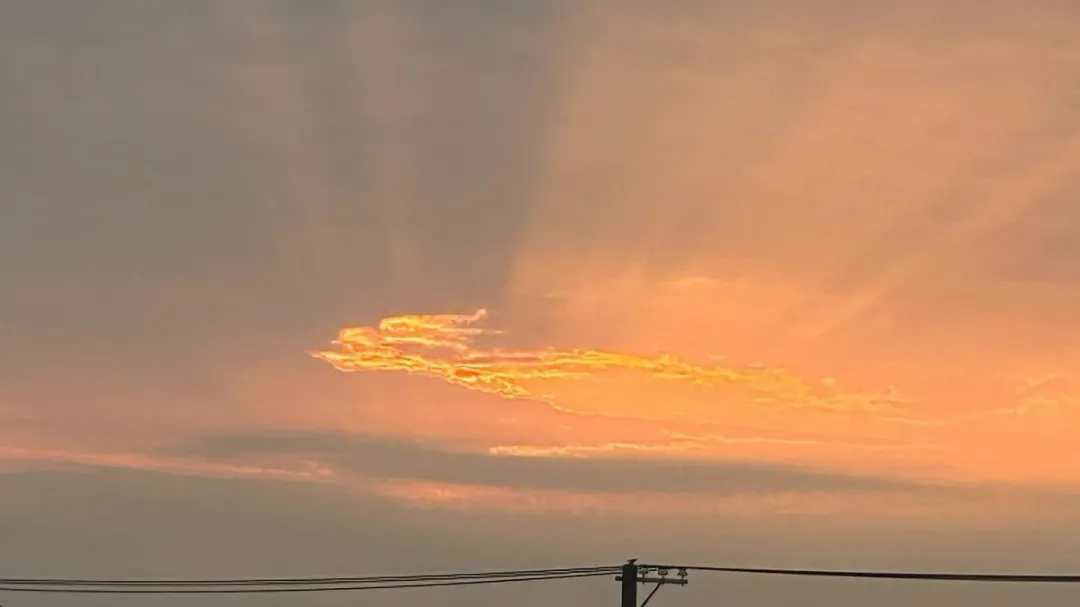 台南麻豆的天空出現「金龍」狀的雲朵,引人注目。(圖/翻攝自Facebook@麻豆人大集合)