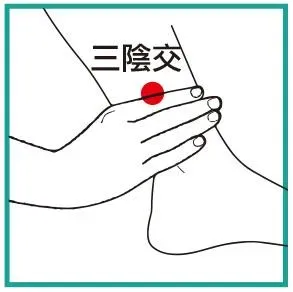 三陰交穴。（北市聯醫提供）