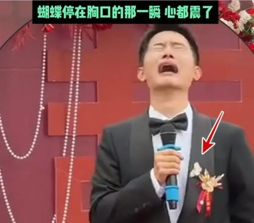 婚禮上蝴蝶突飛停胸口,新郎瞬間淚崩。(圖/翻攝微博)