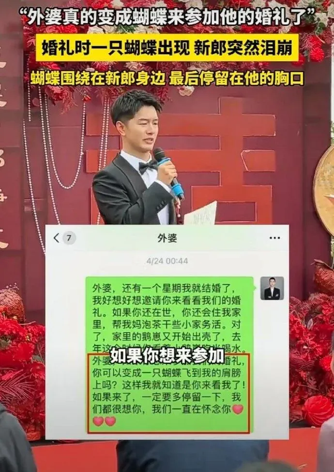 原來新郎用微信發訊息給離世外婆邀其化身蝴蝶參加婚禮。(圖/翻攝微博)