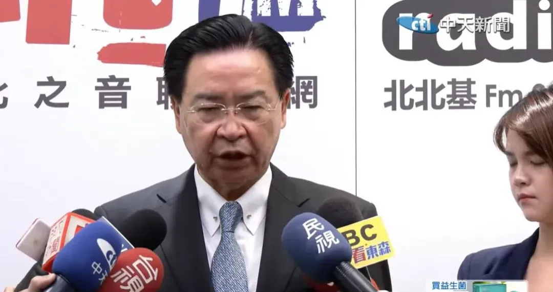 外交部長吳釗燮今日受訪時表示短期內沒問題。（圖／中天新聞）