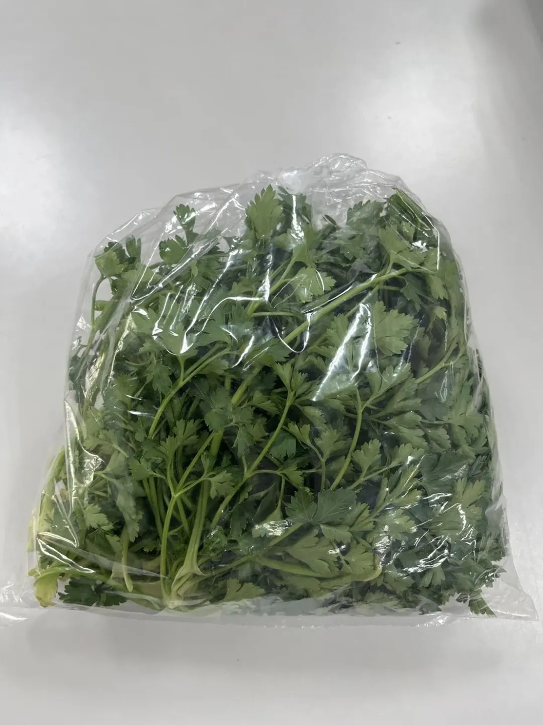 義大利芹菜。