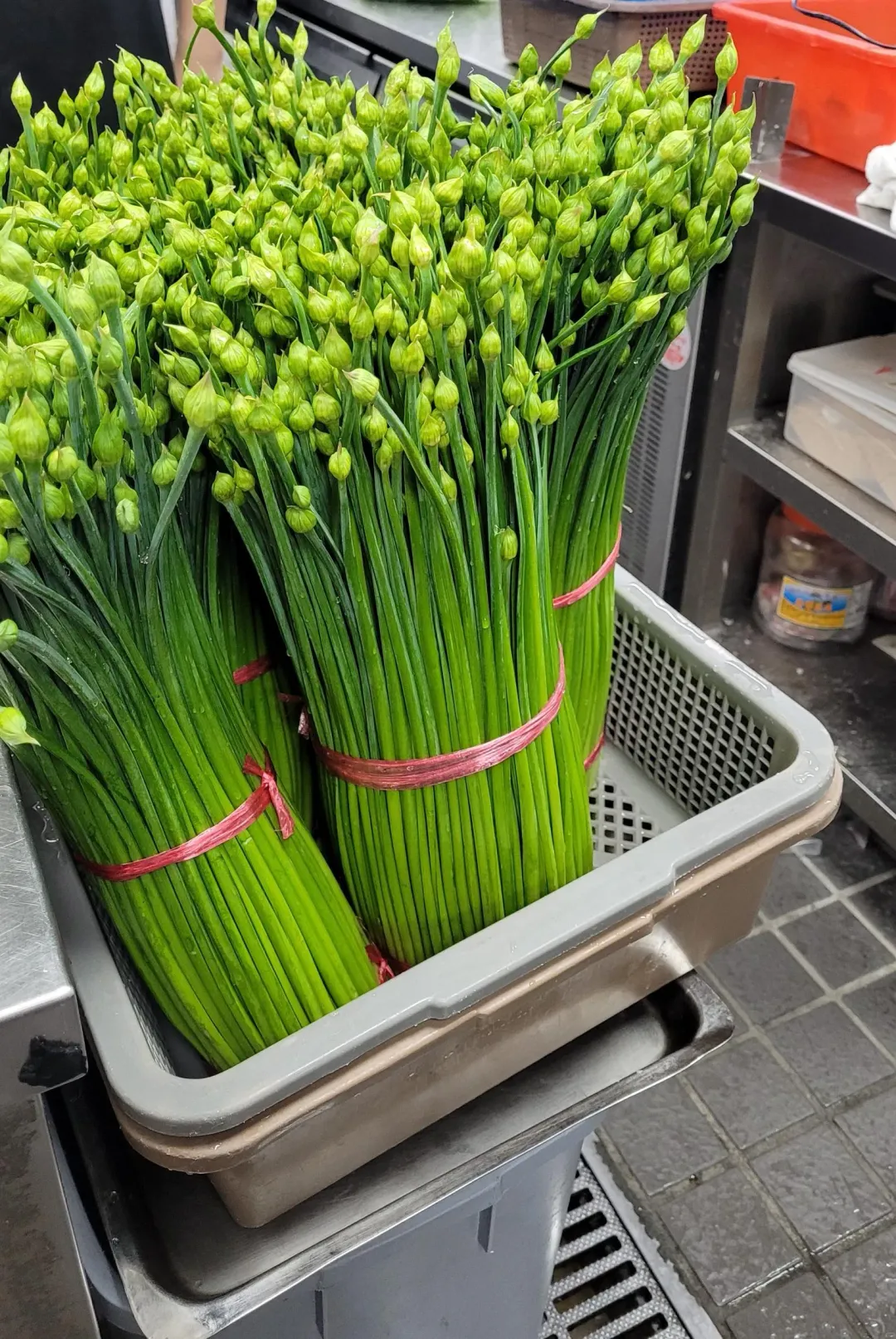 韭菜花。