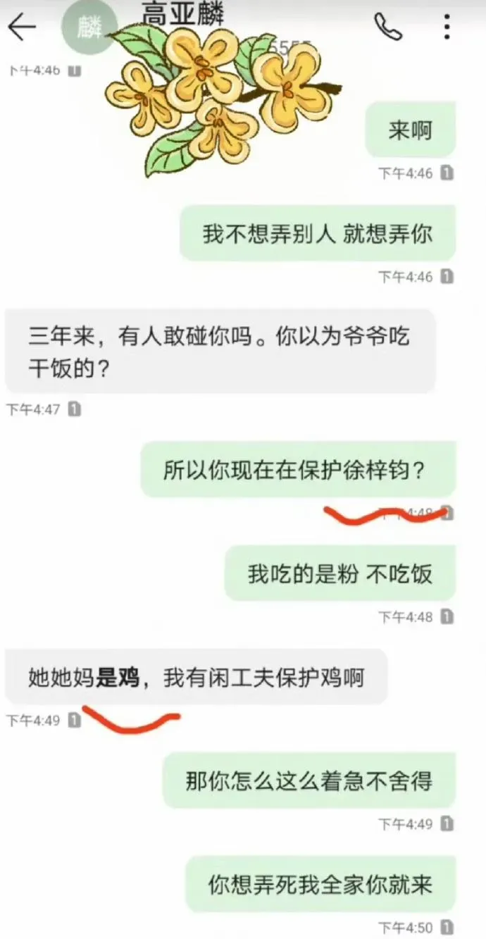 高亞麟偷吃徐梓鈞一事乃是另一名女星魏嘉爆料。(圖/翻攝自微博@魏嘉齊樂不高興)