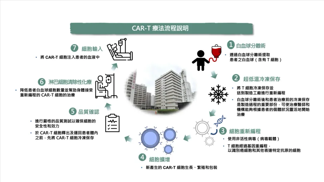 CAR-T療法流程說明。（圖／長庚醫院提供）