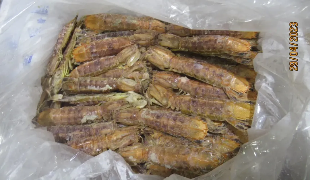 「冷凍蝦蛄」檢出重金屬鎘0.8mg/kg。（圖／食藥署）