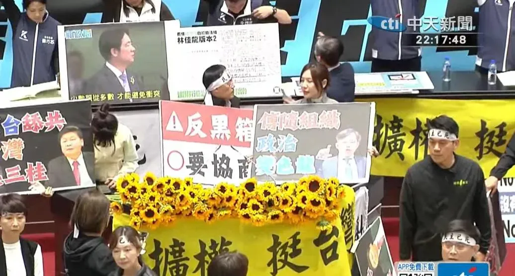 民進黨立委吳沛憶在發言過程中一度拿起太陽花朝民眾黨團總召黃國昌丟過去。(圖/中天新聞)