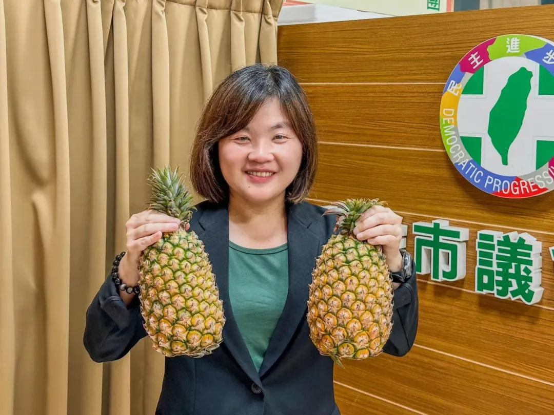 民進黨高雄市議員陳慧文。（圖／翻攝陳慧文臉書）