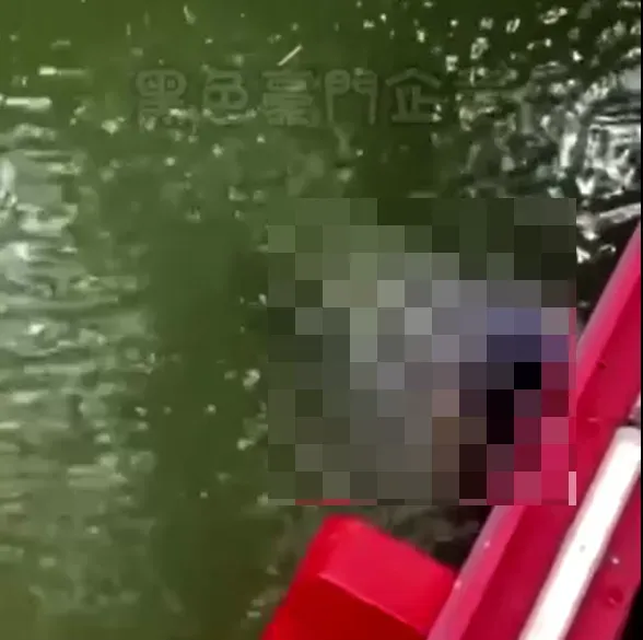 民眾走過湖心亭連通橋時，發現一名女性溺亡漂浮在水上。（圖／翻攝自黑色豪門企業）