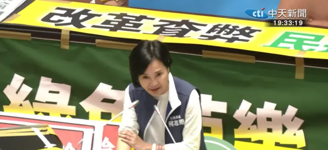 柯志恩。（圖/中天新聞）