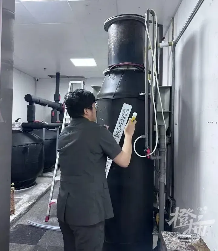 執行人員在查封餐廳內企鵝維生設備。(圖/翻攝橙柿互動)