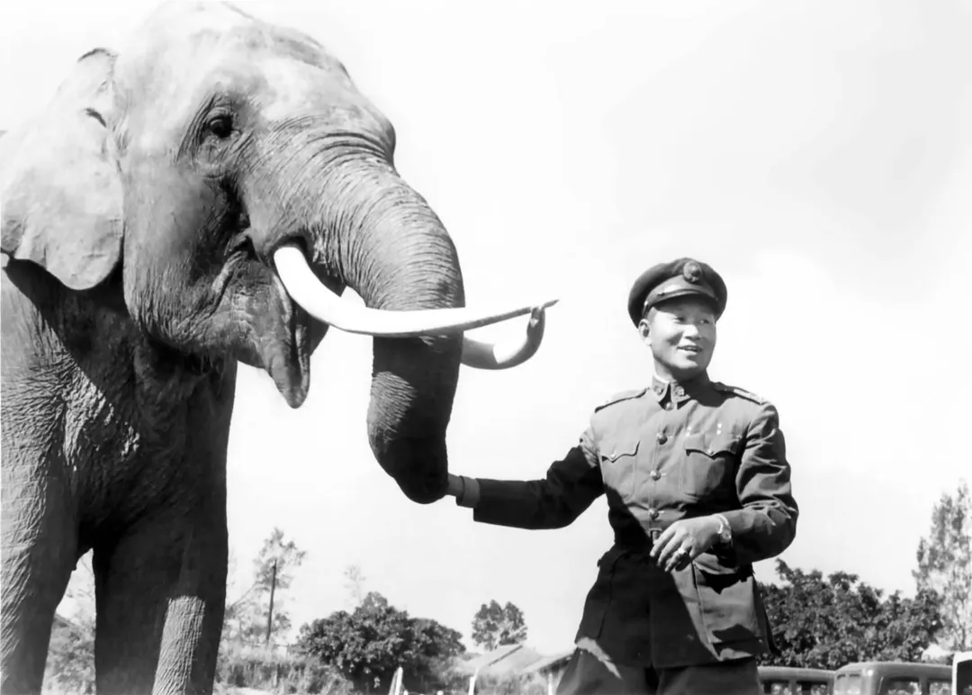 孫立人將軍與大象林旺在陸軍官校。民國39年(羅超群攝影,羅廣仁提供)