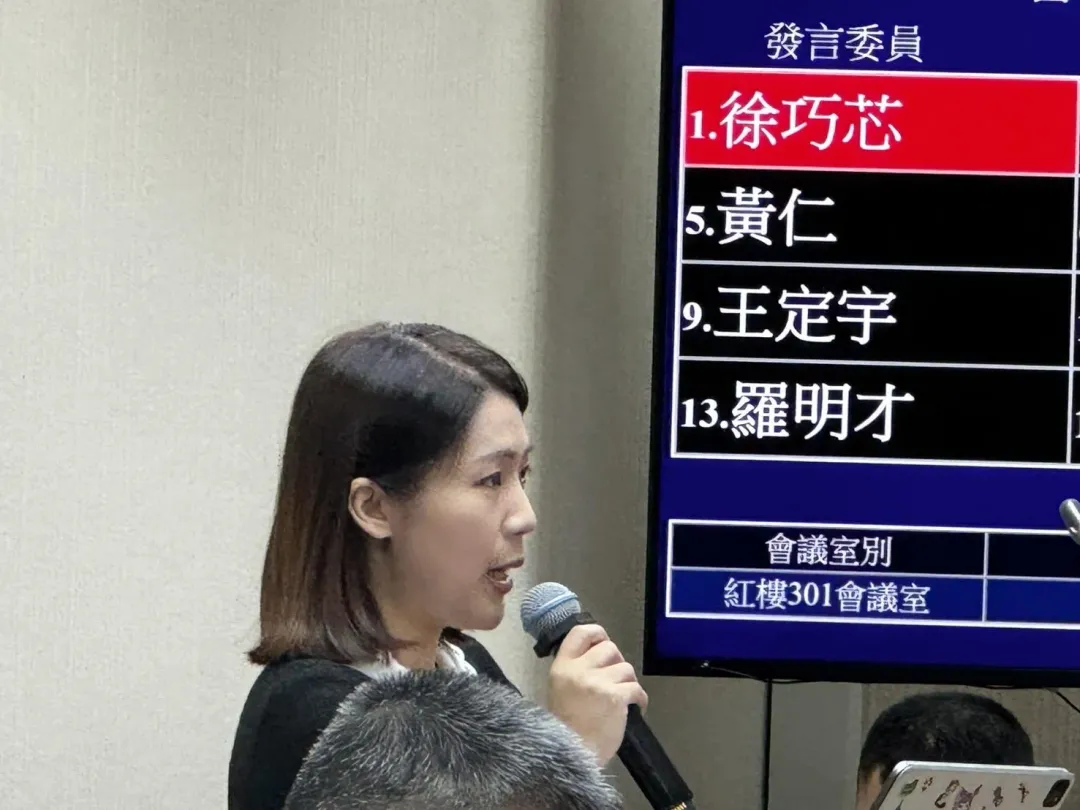 國民黨立委徐巧芯。(圖/記者黃彥昇攝)