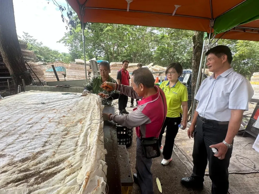 目前台中市收運的床墊只有4名清潔隊員處理，人工拆卸的收效甚微。（圖／市議員張芬郁提供）