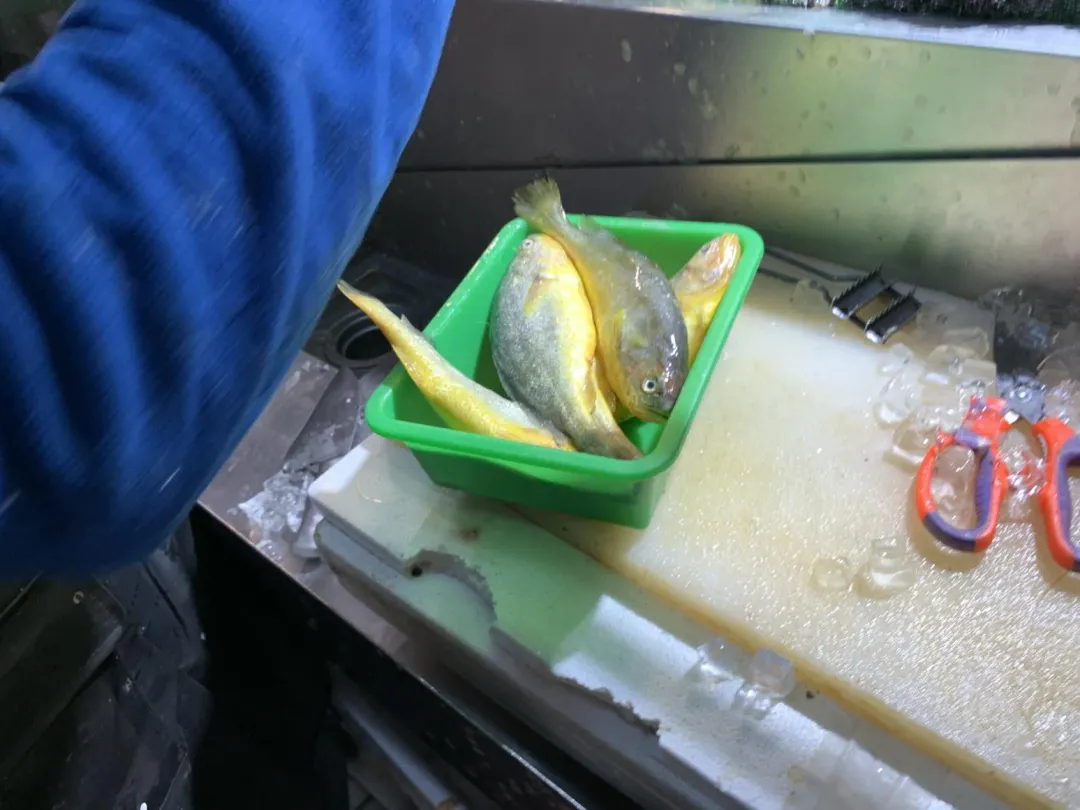 南門市場攤販黃魚檢出「還原型結晶紫」。（圖／台北市衛生局提供）