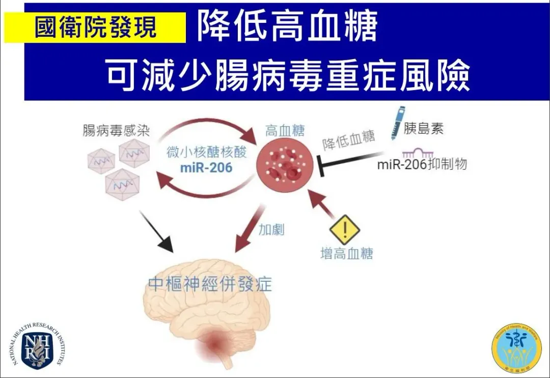 國衛院發現,降低高血糖可減少腸病毒重症風險。(圖/國衛院提供)