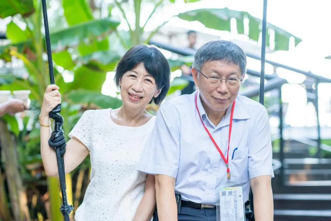 陳佩琪公布與柯文哲「10年收入總額」。(圖/陳佩琪Peggy 臉書粉專)