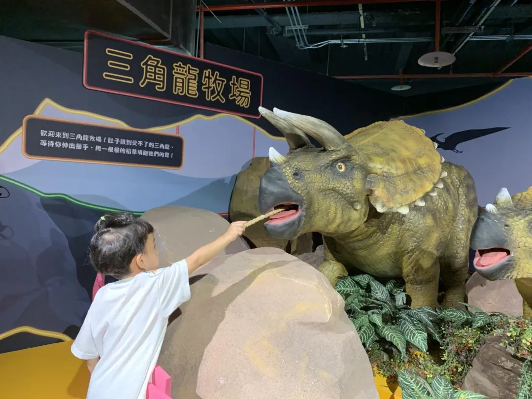 三角龍牧場 餵食恐龍。(圖/寬宏提供)