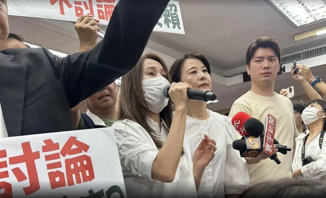 高金素梅宣布開會,卻遭民進黨立委抵制。(圖/中天新聞)