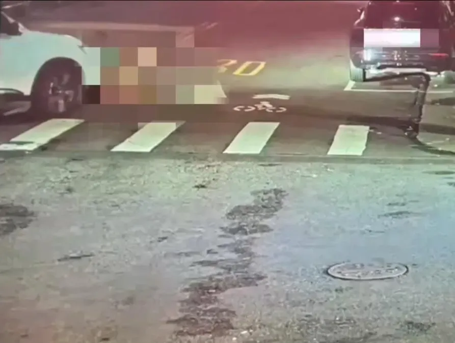 賴士葆駕車時因未禮讓行人，導致兩名女子受傷（攝自記者爆料網）
