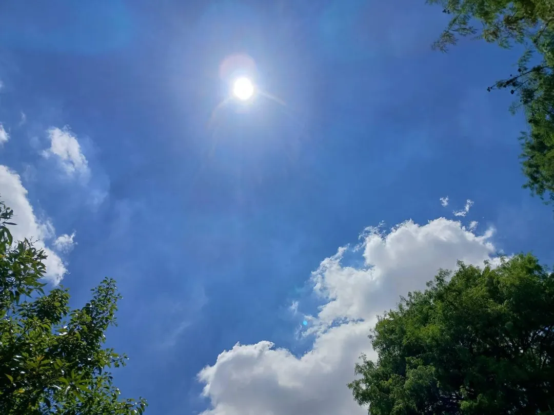 明（21）日小滿節氣報到，也是夏季的第2個節氣。（示意圖／中天新聞資料照）
