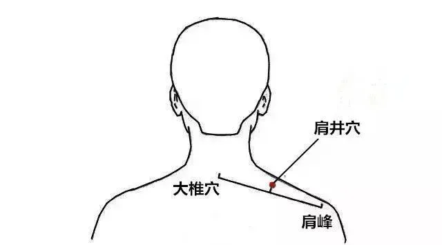 中醫師楊永榮建議，天氣炎熱，家長於休息時間可協助考生按壓「肩井穴」放鬆。（圖／翻攝自搜狐）
