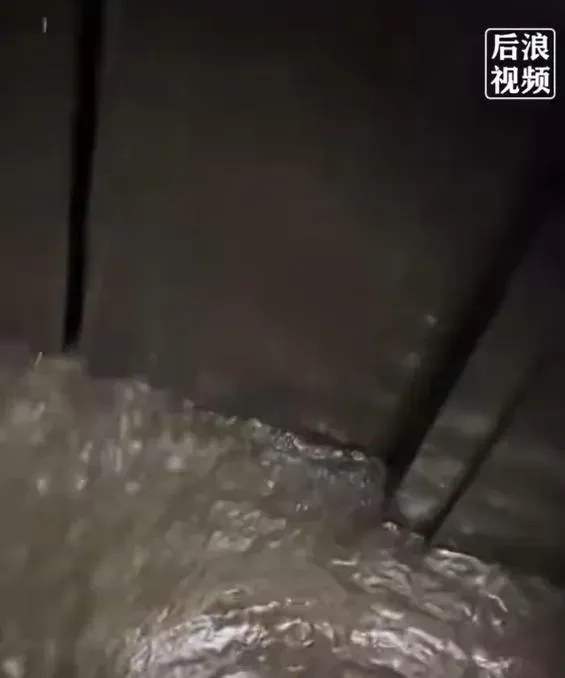 一對母女被困電梯中，積水不斷湧入。（圖／翻攝後浪視頻）