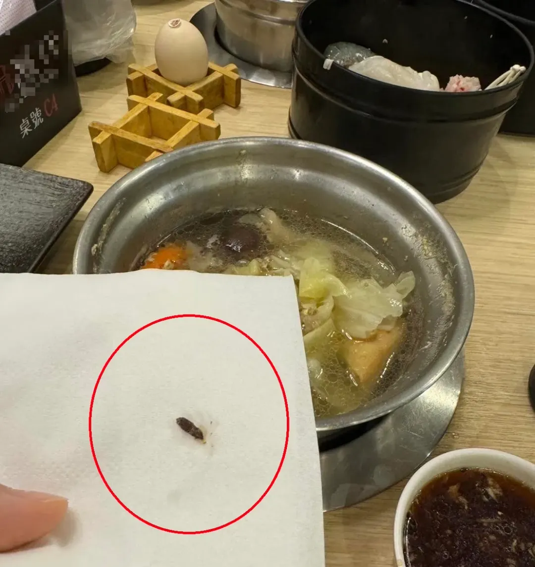 有網友控訴新北市中和一間火鍋店餐食出現不少老鼠屎,但店家辯稱是「木耳屑」。(圖/翻攝自Facebook@我是永和人)