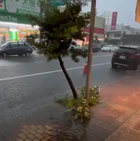 馬路排水系統也因大雨失靈而積水。（圖／中天新聞）
