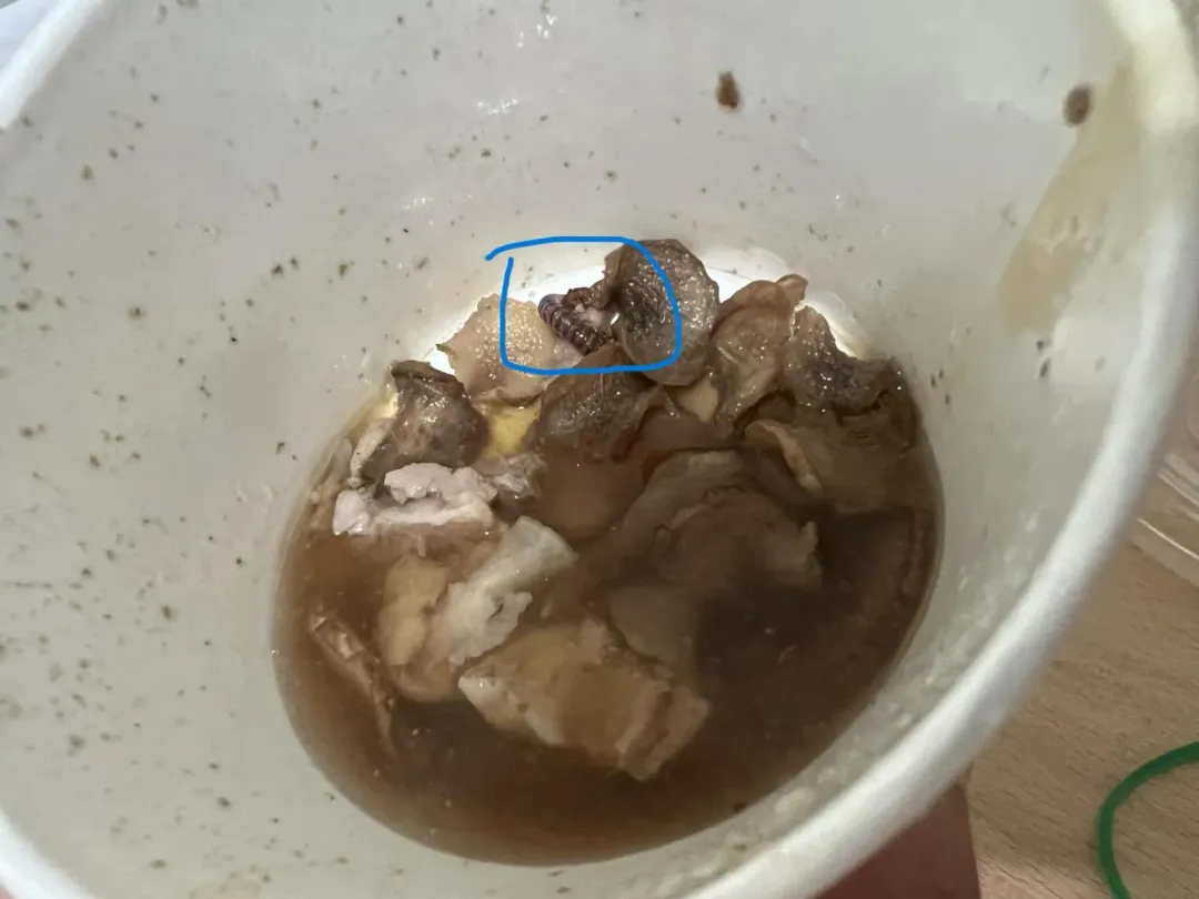 有網友吃麻油雞驚見一條馬陸!(圖/爆怨公社)